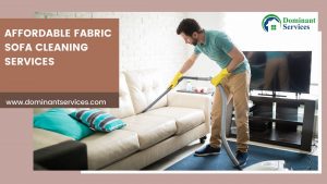 Read more about the article How can you Clean Stains from your Sofa at Home